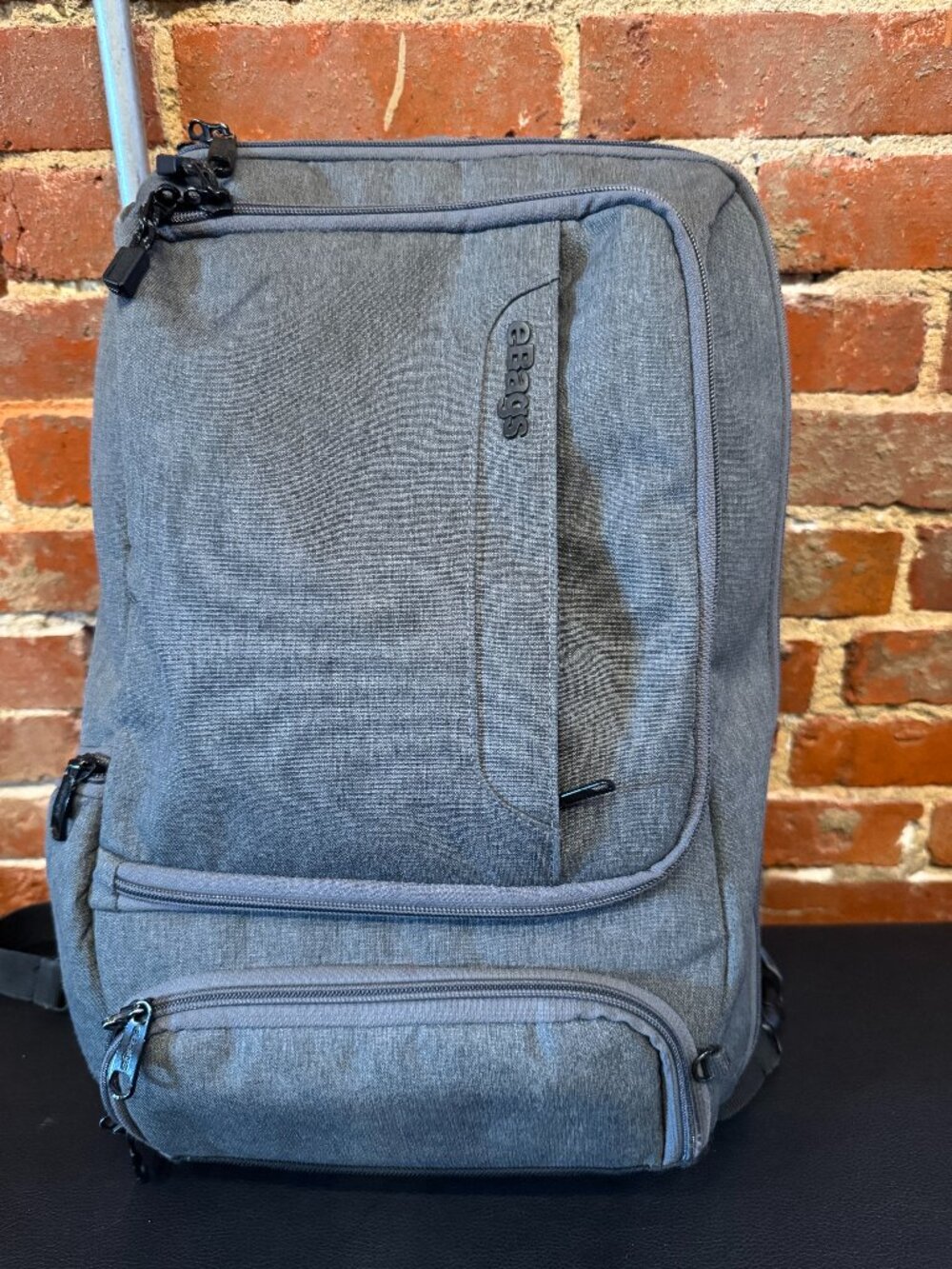 Ebags Professional Laptop Backpack